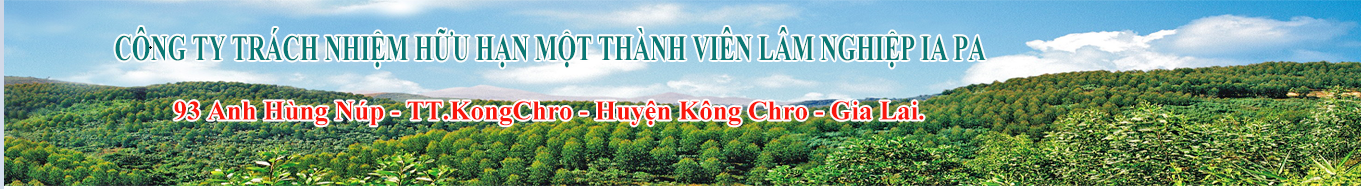 CÔNG TY TRÁCH NHIỆM HỮU HẠN MỘT THÀNH VIÊN LÂM NGHIỆP IA PA