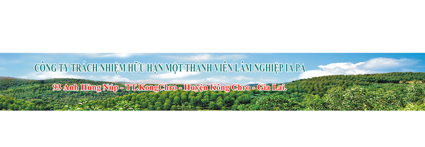 CÔNG TY TRÁCH NHIỆM HỮU HẠN MỘT THÀNH VIÊN LÂM NGHIỆP IA PA